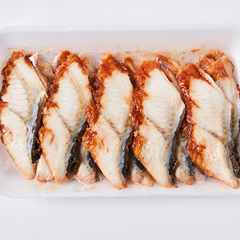 eel fish