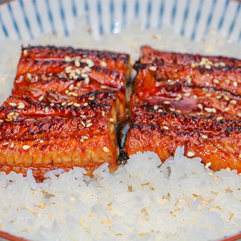 eel fish wholesale
