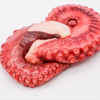 Octopus single leg