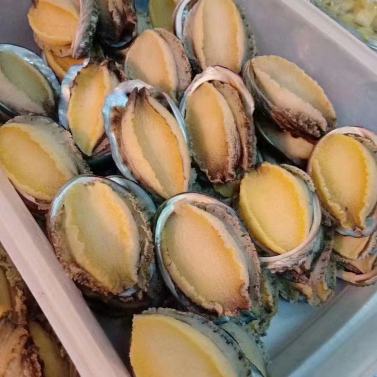Shell-On, Gutted Abalone | Fresh Flash-Frozen Abalone Meat
